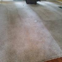 Bama's Best Carpet Cleaning image 2